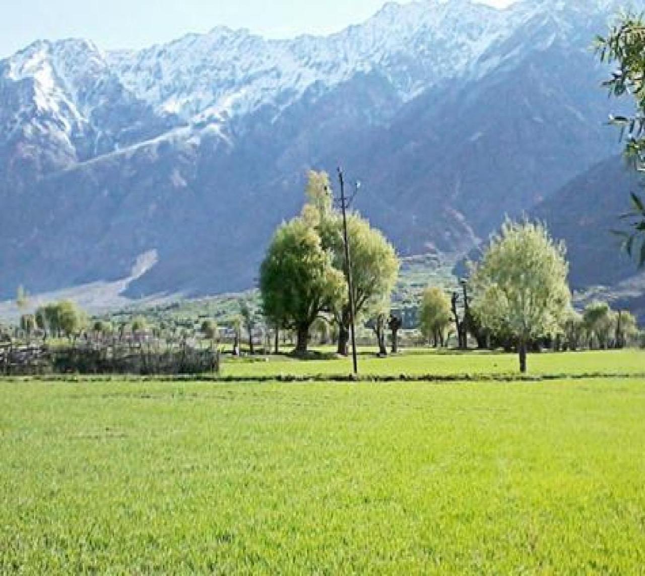 Hotel Suru View Kargil Buitenkant foto